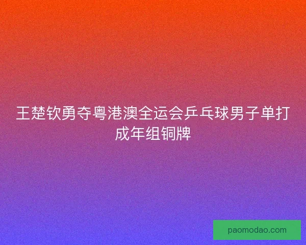 王楚钦勇夺粤港澳全运会乒乓球男子单打成年组铜牌